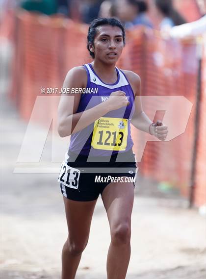 Thumbnail 2 in CIF State Cross Country Championships (Girls D2 Race) photogallery.