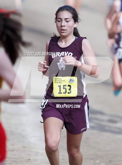 Thumbnail 1 in CIF State Cross Country Championships (Girls D2 Race) photogallery.