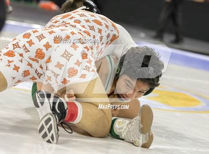 Thumbnail 3 in CIF State Boys Wrestling Championships (3rd/4th Place Matches) photogallery.