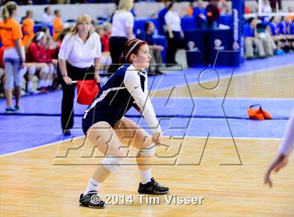 Thumbnail 2 in Montrose vs. Valor Christian (CHSAA 4A Playoff) photogallery.
