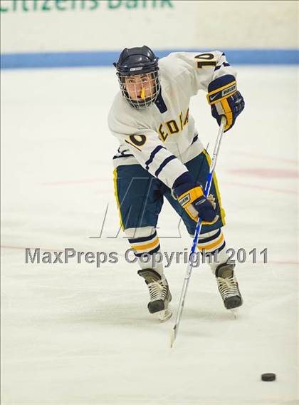 Thumbnail 2 in Dedham @ Needham photogallery.