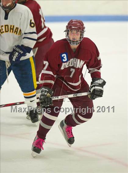 Thumbnail 3 in Dedham @ Needham photogallery.
