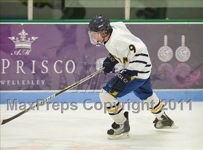Thumbnail 1 in Dedham @ Needham photogallery.