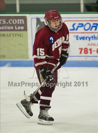 Thumbnail 1 in Dedham @ Needham photogallery.