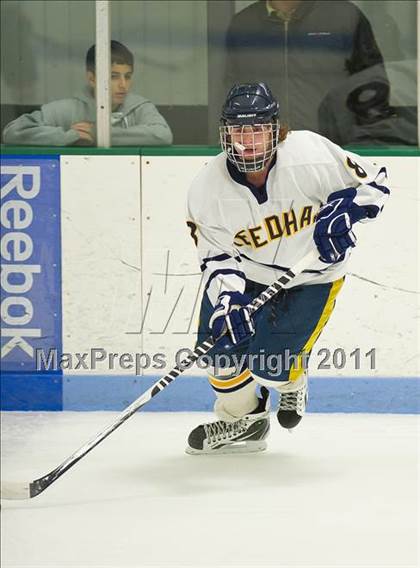 Thumbnail 1 in Dedham @ Needham photogallery.
