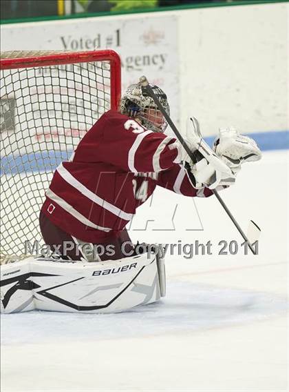 Thumbnail 1 in Dedham @ Needham photogallery.