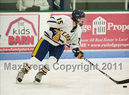 Thumbnail 3 in Dedham @ Needham photogallery.