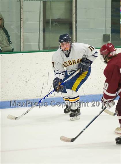 Thumbnail 2 in Dedham @ Needham photogallery.