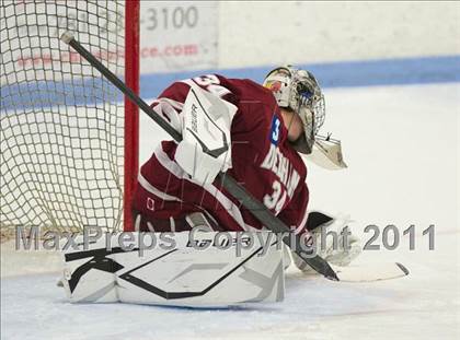 Thumbnail 3 in Dedham @ Needham photogallery.