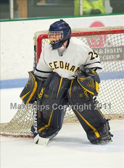 Thumbnail 1 in Dedham @ Needham photogallery.