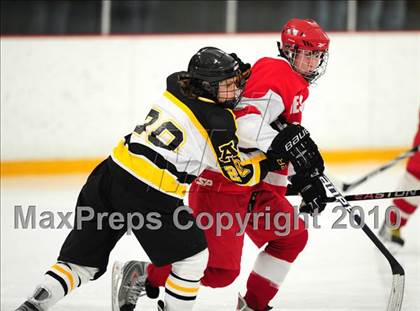 Thumbnail 3 in Cheshire vs. Amity (SCC Division 2 Final) photogallery.