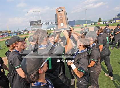 Thumbnail 1 in Mount Carmel vs. Riverside (PIAA 3A Championship) photogallery.