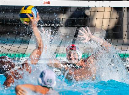 Thumbnail 2 in Royal @ Crespi photogallery.