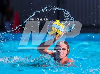 Thumbnail 2 in Royal @ Crespi photogallery.