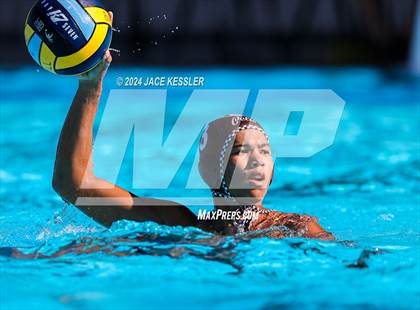 Thumbnail 2 in Royal @ Crespi photogallery.
