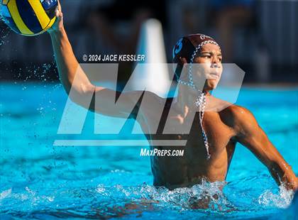 Thumbnail 3 in Royal @ Crespi photogallery.