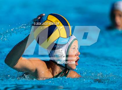 Thumbnail 1 in Royal @ Crespi photogallery.