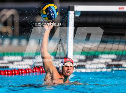 Thumbnail 1 in Royal @ Crespi photogallery.