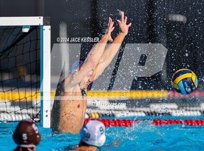 Thumbnail 1 in Royal @ Crespi photogallery.