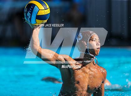 Thumbnail 3 in Royal @ Crespi photogallery.