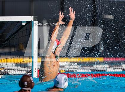 Thumbnail 3 in Royal @ Crespi photogallery.