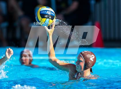 Thumbnail 1 in Royal @ Crespi photogallery.