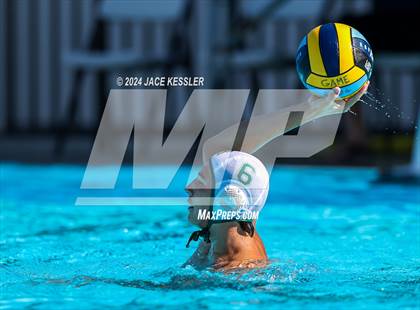 Thumbnail 3 in Royal @ Crespi photogallery.