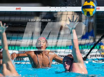 Thumbnail 1 in Royal @ Crespi photogallery.