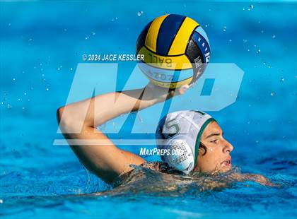 Thumbnail 1 in Royal @ Crespi photogallery.