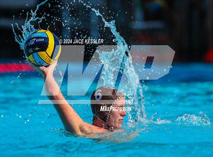 Thumbnail 1 in Royal @ Crespi photogallery.