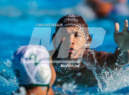 Thumbnail 3 in Royal @ Crespi photogallery.