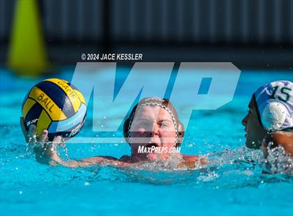 Thumbnail 2 in Royal @ Crespi photogallery.