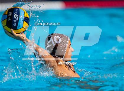 Thumbnail 3 in Royal @ Crespi photogallery.