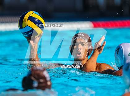 Thumbnail 1 in Royal @ Crespi photogallery.