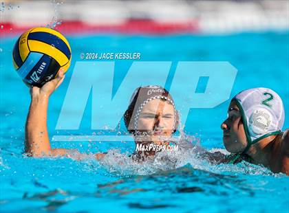 Thumbnail 2 in Royal @ Crespi photogallery.