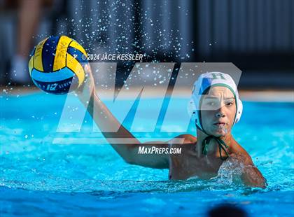 Thumbnail 3 in Royal @ Crespi photogallery.