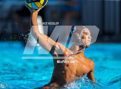 Thumbnail 1 in Royal @ Crespi photogallery.