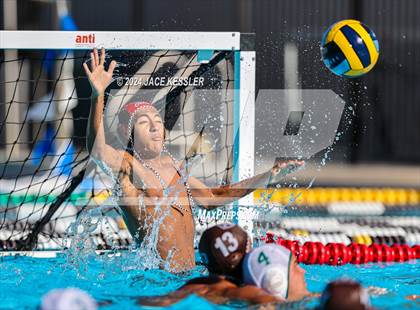 Thumbnail 1 in Royal @ Crespi photogallery.