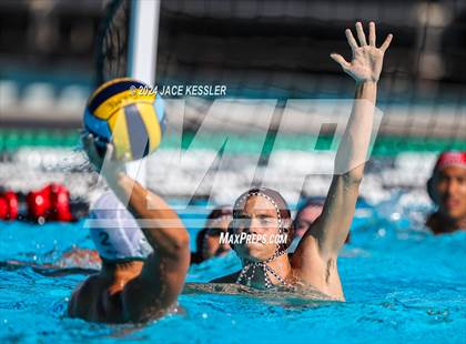 Thumbnail 2 in Royal @ Crespi photogallery.