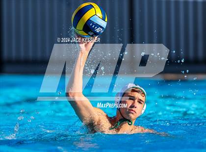 Thumbnail 2 in Royal @ Crespi photogallery.
