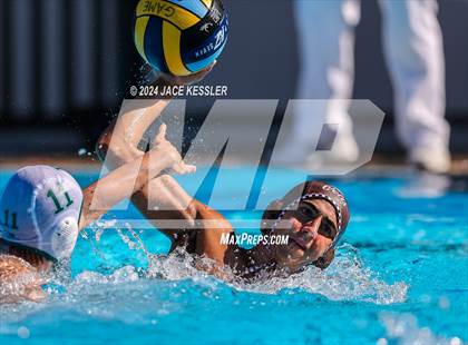 Thumbnail 3 in Royal @ Crespi photogallery.