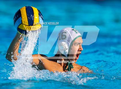 Thumbnail 2 in Royal @ Crespi photogallery.