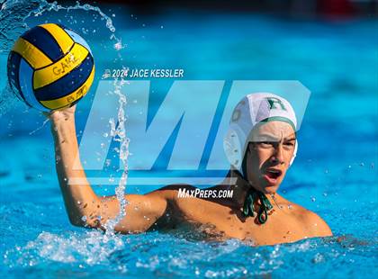 Thumbnail 3 in Royal @ Crespi photogallery.