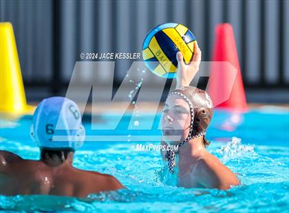 Thumbnail 1 in Royal @ Crespi photogallery.
