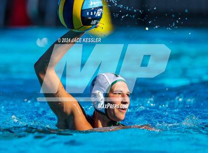 Thumbnail 2 in Royal @ Crespi photogallery.