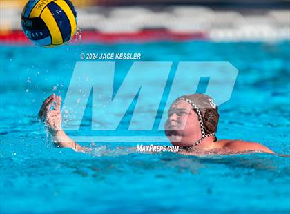 Thumbnail 1 in Royal @ Crespi photogallery.