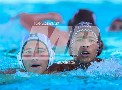 Thumbnail 3 in Royal @ Crespi photogallery.