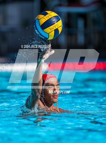 Thumbnail 2 in Royal @ Crespi photogallery.