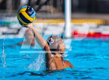 Thumbnail 3 in Royal @ Crespi photogallery.