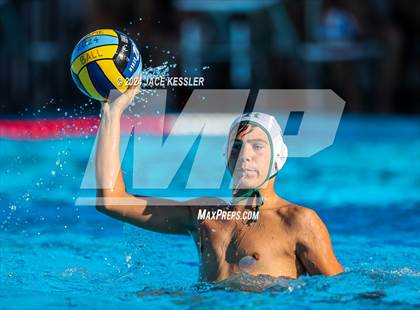 Thumbnail 2 in Royal @ Crespi photogallery.